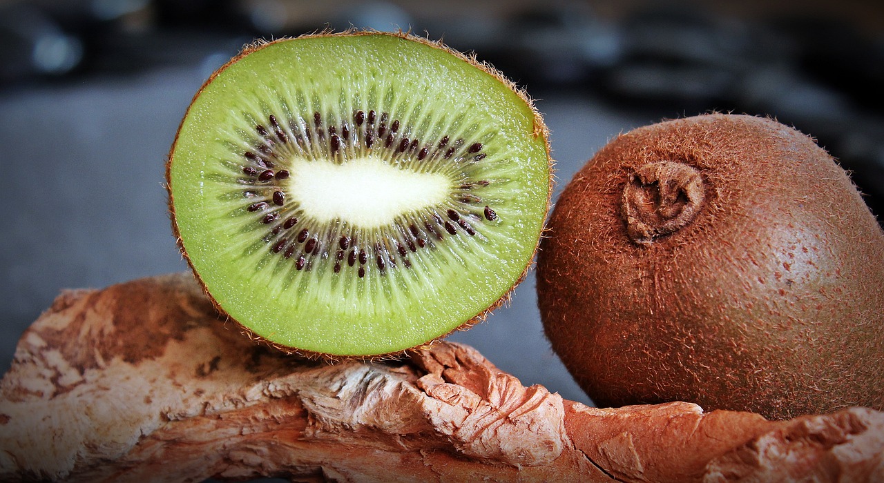 Cachorro pode comer Kiwi